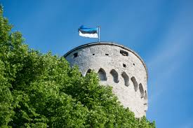 Happy Independence Day, Estonia !